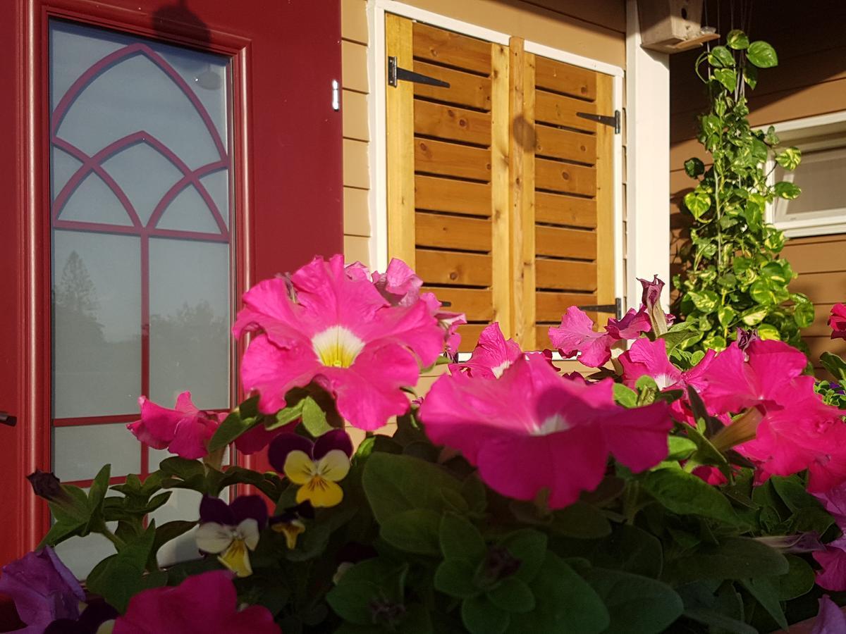 The Butterflies Wood House Reshafim Exterior foto