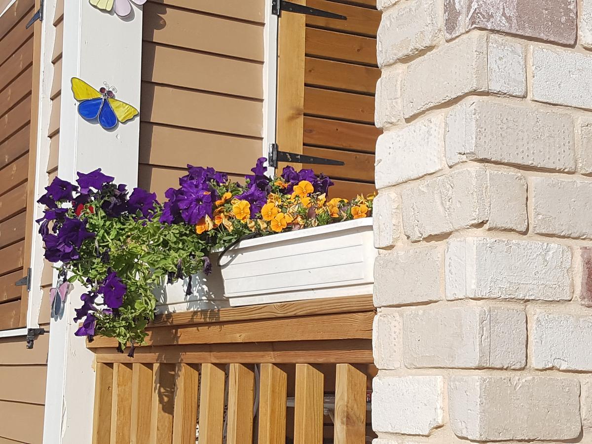 The Butterflies Wood House Reshafim Exterior foto